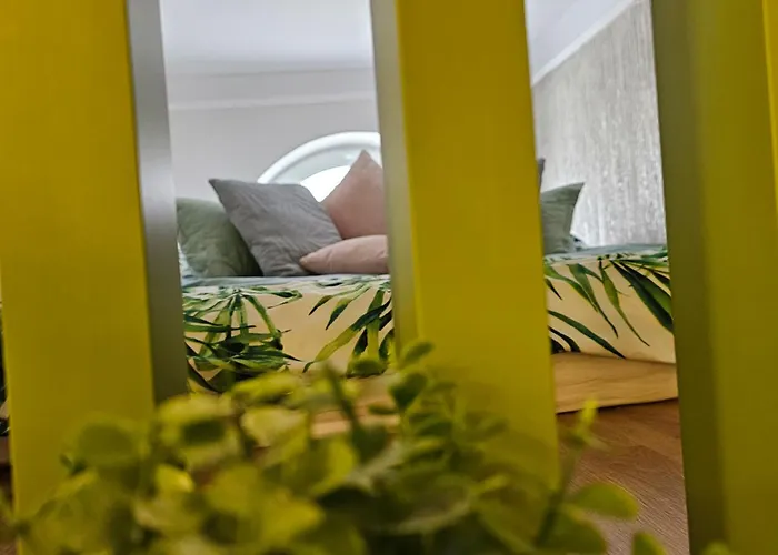 Apartament M Vatra Dornei